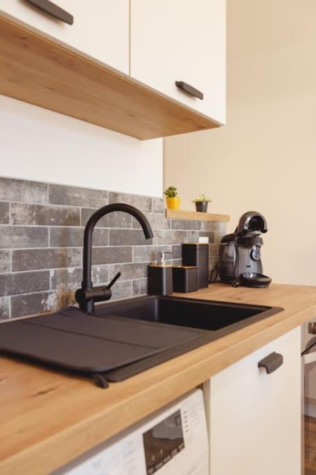 Apartment L'aindus De Brou- Parking Prive- Rdc Bourg-en-Bresse
